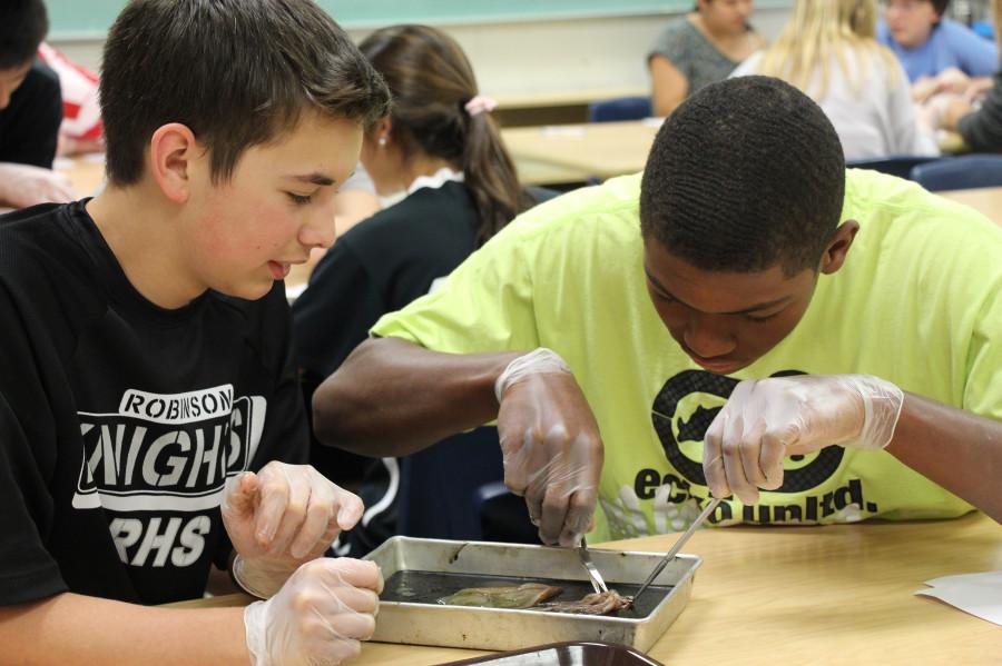 Biology Students Experience Dissection Hands-On
