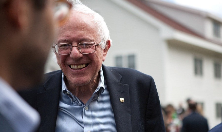Something to Think About: Bernie Sanders Hair