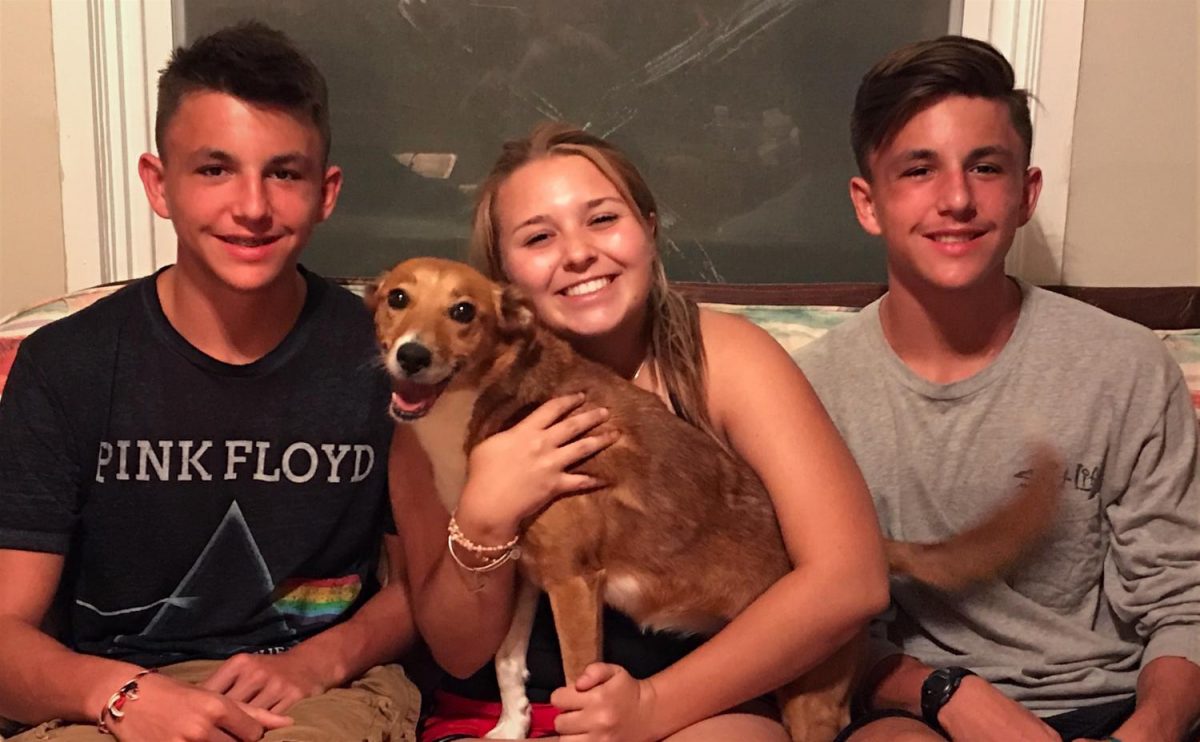 New family found through Irma
