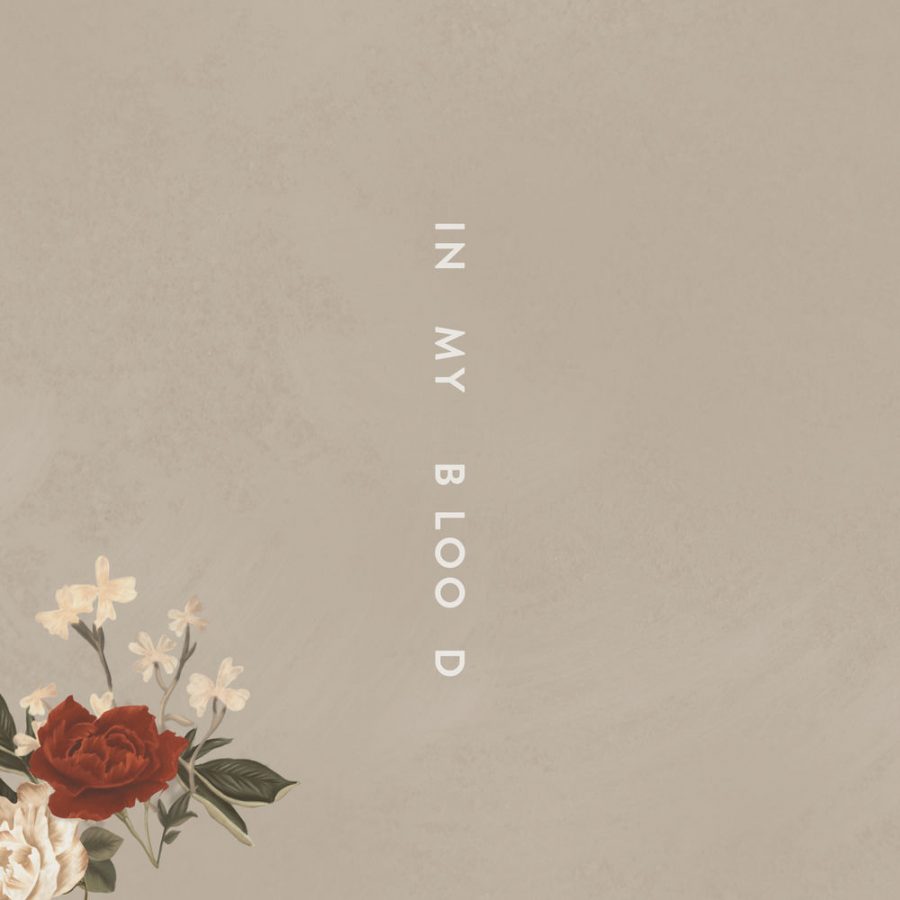 Review: Shawn Mendes strikes a chord with new single