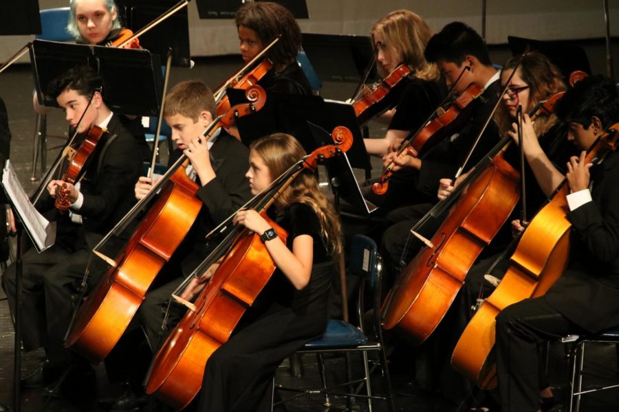 The cello section and viola section performs House of Untold Horrors.