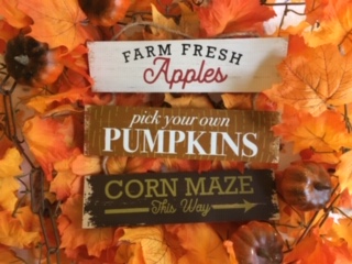 Fall Flavors are Back