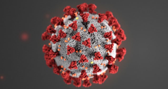 The+coronavirus+gets+its+name+from+the+club-like+structures+which+give+it+a+crowned+appearance.