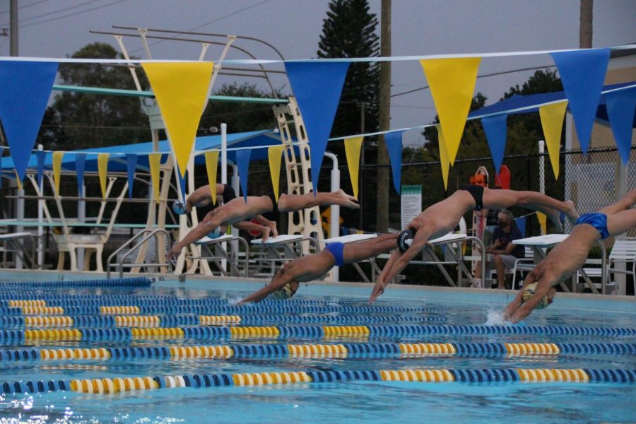 The Robinson boys swim team diving in the water