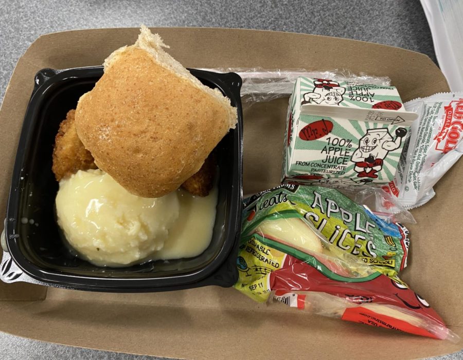 Example of school lunch. This balanced and delicious meal came with mash potato with gravy, chicken bites, a bread roll, apple slices and is even served with a juice box. 
