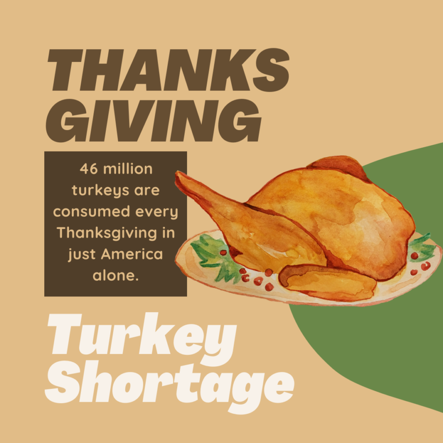 Graphic made on Canva depicting a turkey and a statistic on how much turkey is eaten on Thanksgiving.