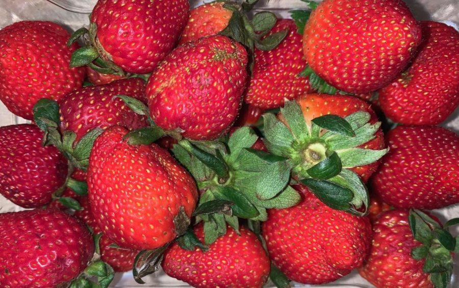A picture of fresh strawberries to celebrate the upcoming Strawberry Festival.