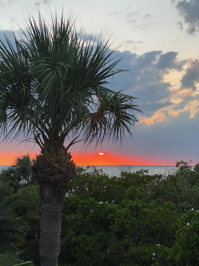 The sun setting over the Bay.