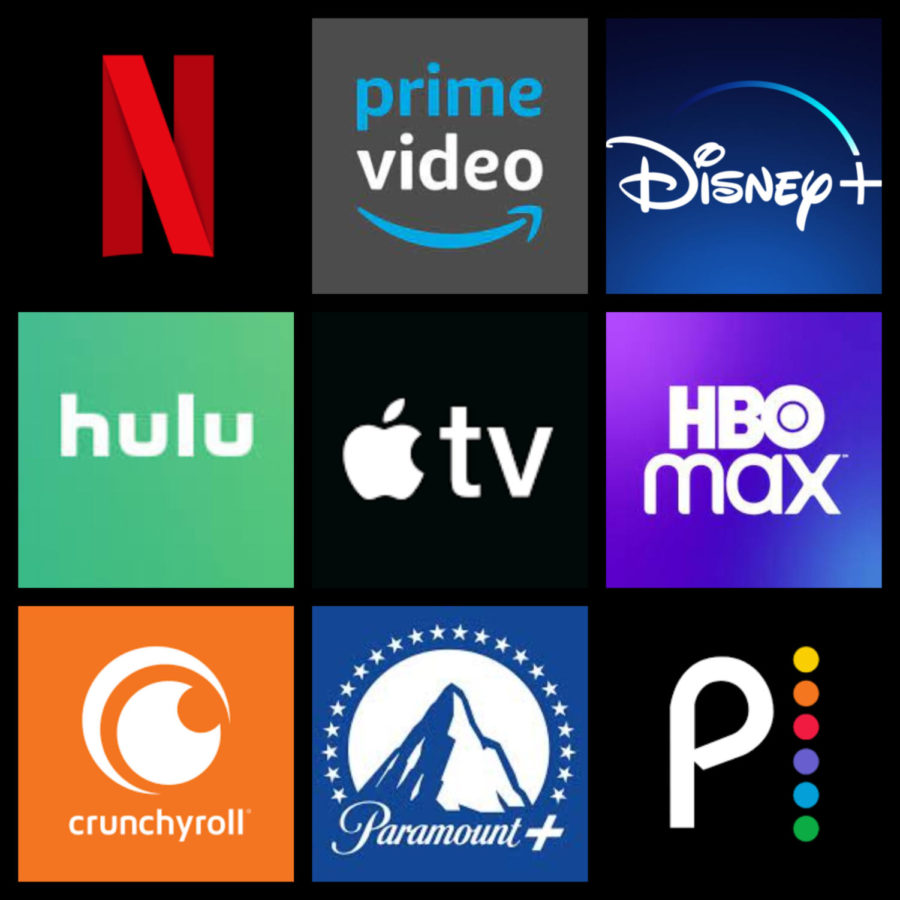 Well-known streaming apps that let their users view movies in the comfort of their own homes.