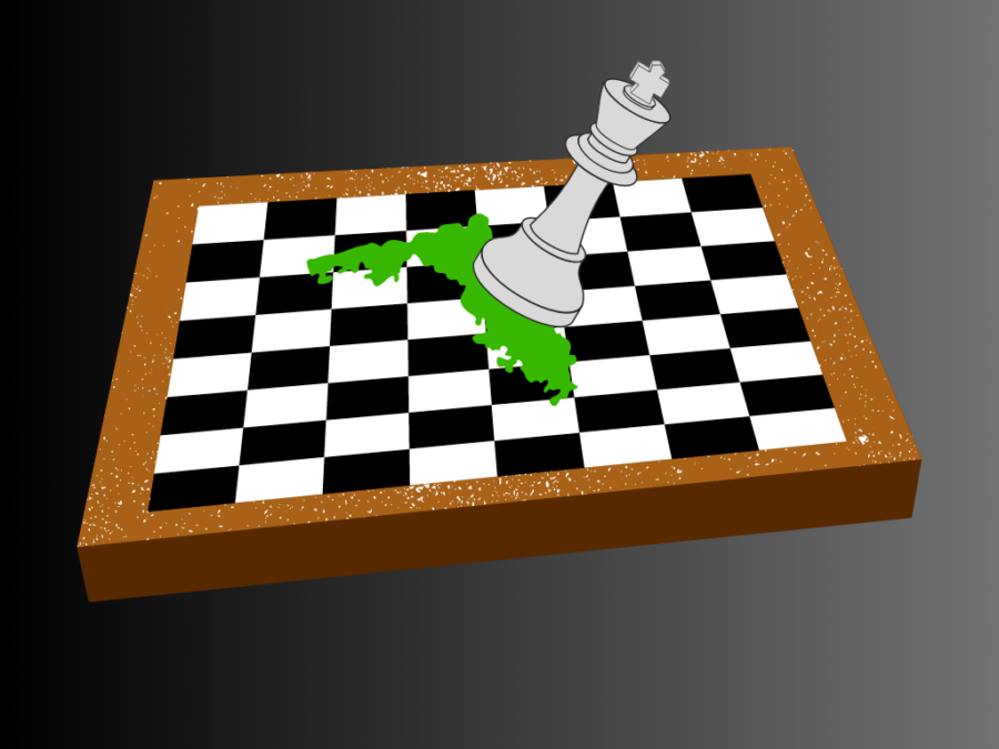 Graphic depicting a chess board and Florida as the pawn.