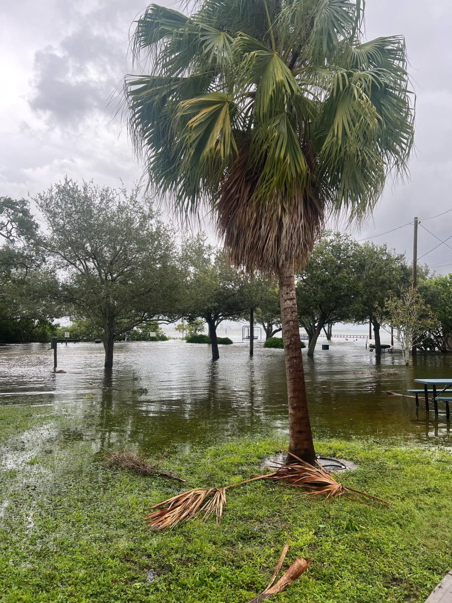 Ballast Point Park became flooded due to heavy rain brought by Hurricane Idalia. 