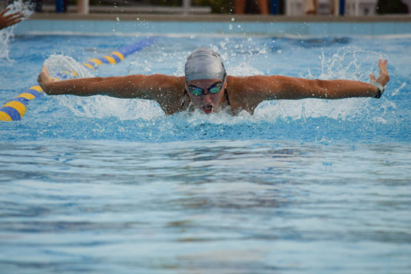 Avery Hawker (24) swimming the butterfly at her 200 IM race. 