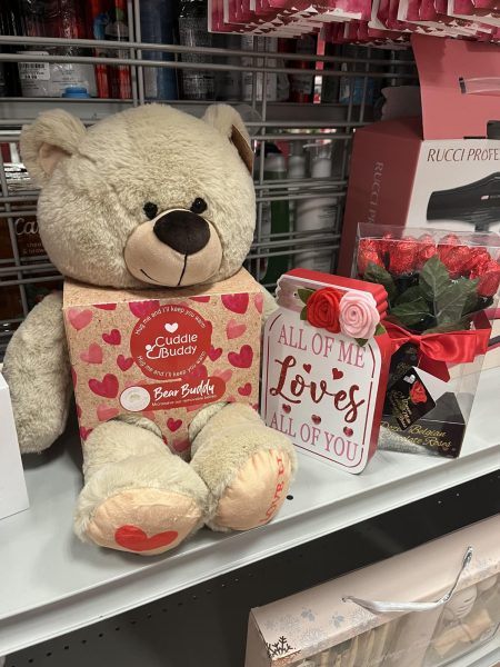 Cute Valentines Day gifts located at Burlington.