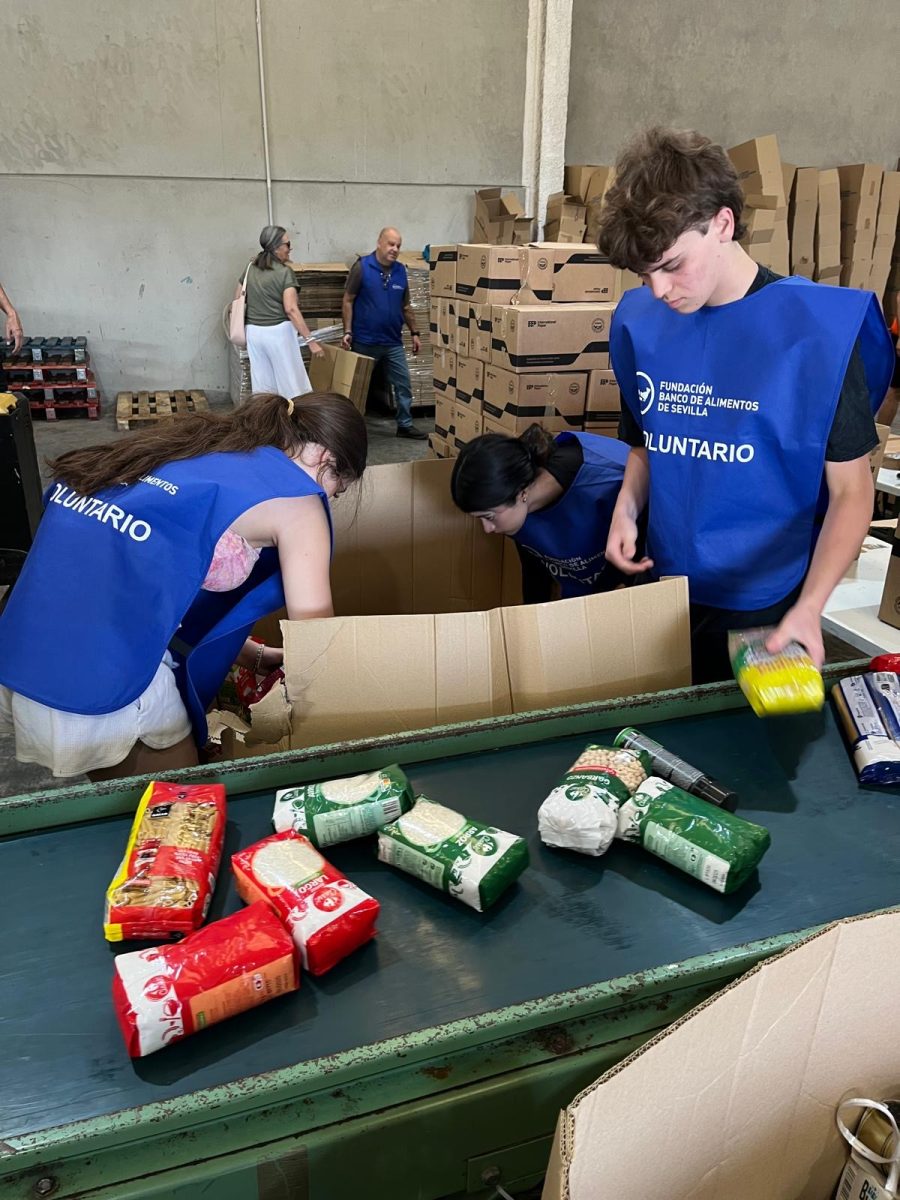 IB students help sort food for the homeless.