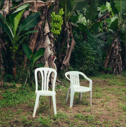 The album cover of Bad Bunny's "DeBÍ TiRAR MáS FOToS" with two plastic chairs sitting abandoned in a yard. 