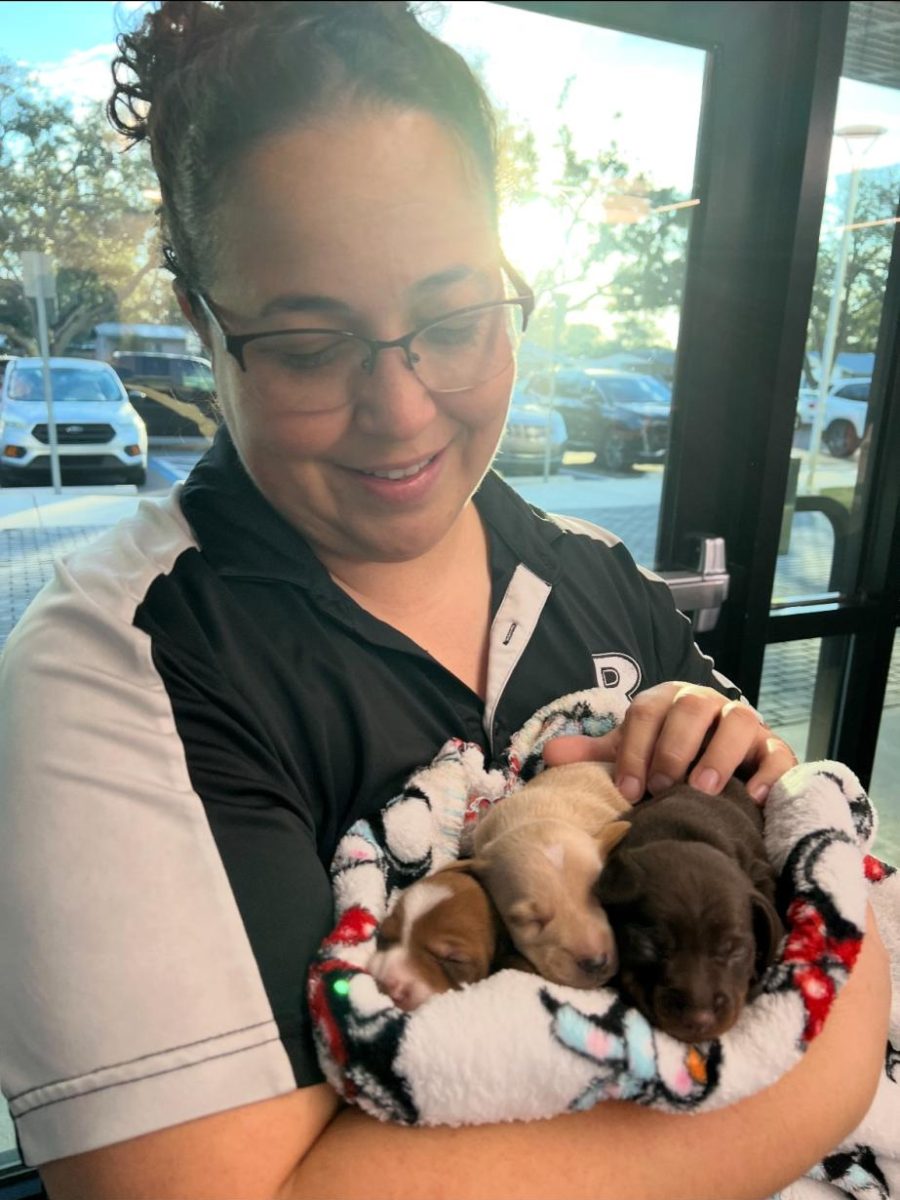 Amanda Perez holds a litter of puppies smiling. 