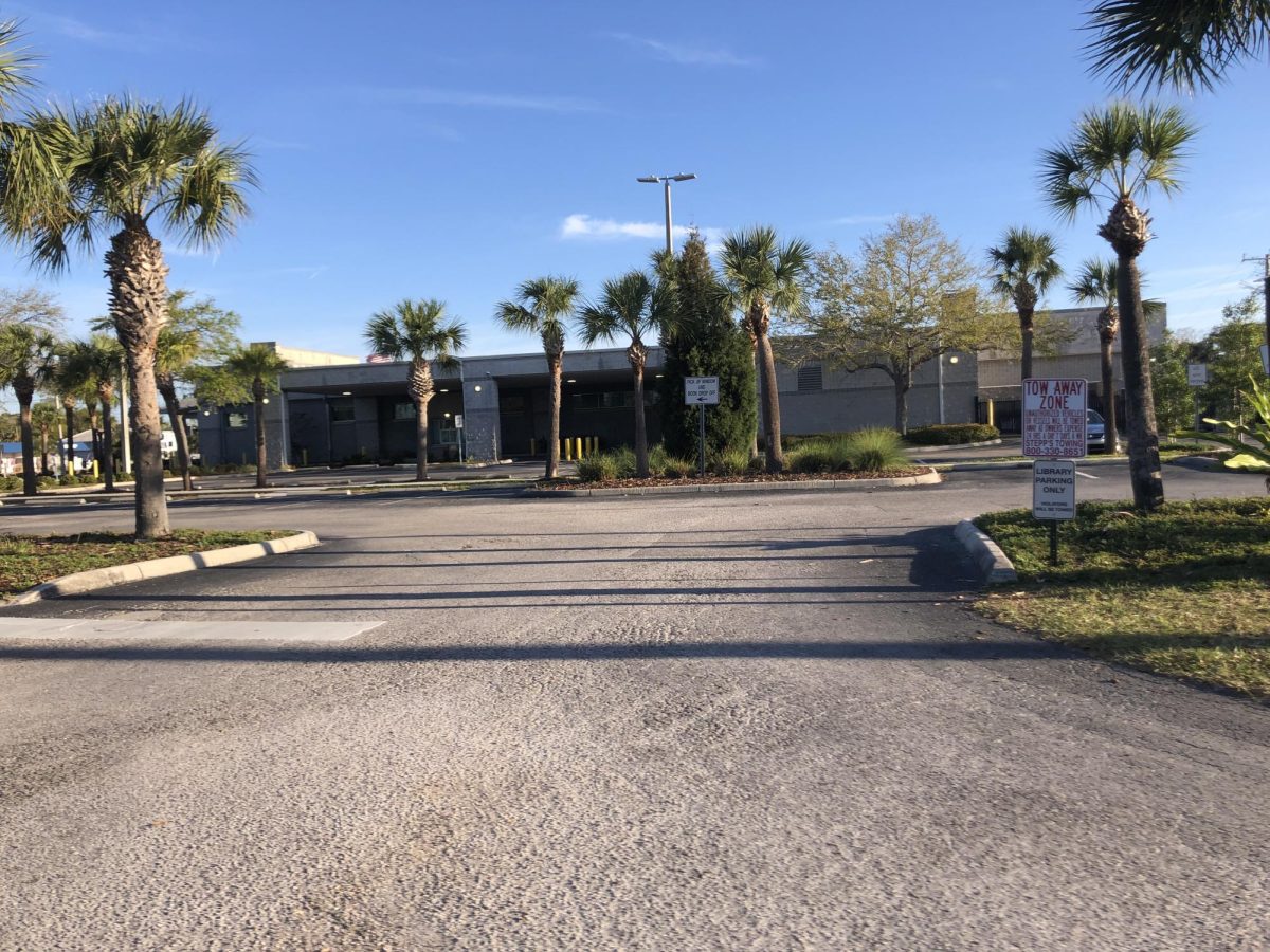 Jan Platt Library with the palm trees out fronts.