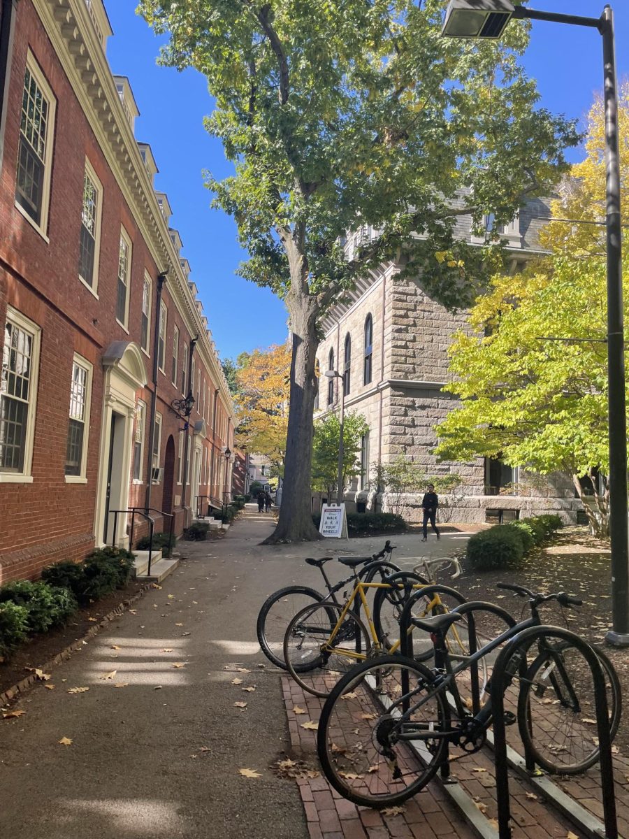Aesthetic scenery from a student's campus tour of Harvard University.