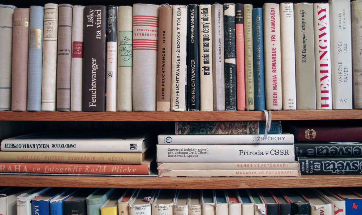 Image of a variety of books on a bookshelf.