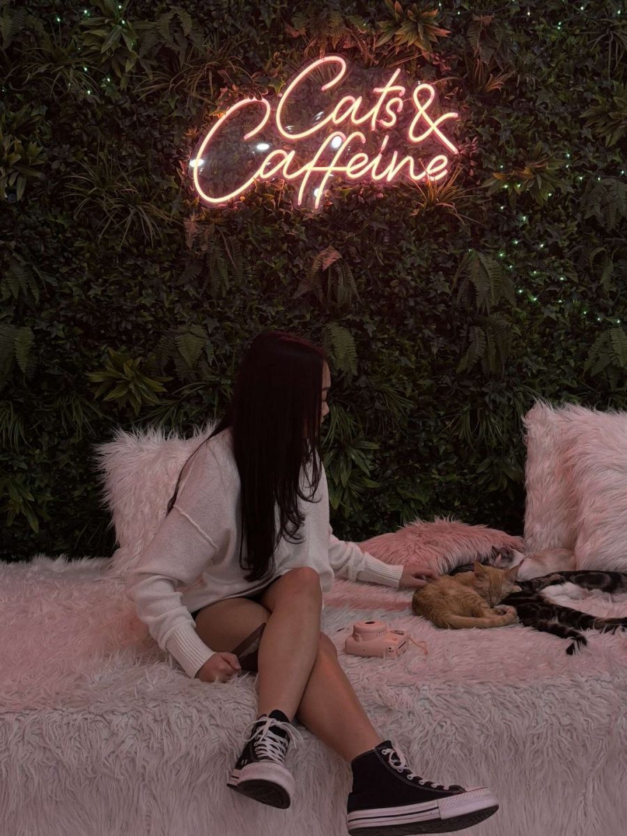 Cozy but Cute: Fall Outfits You'll Want to Live in