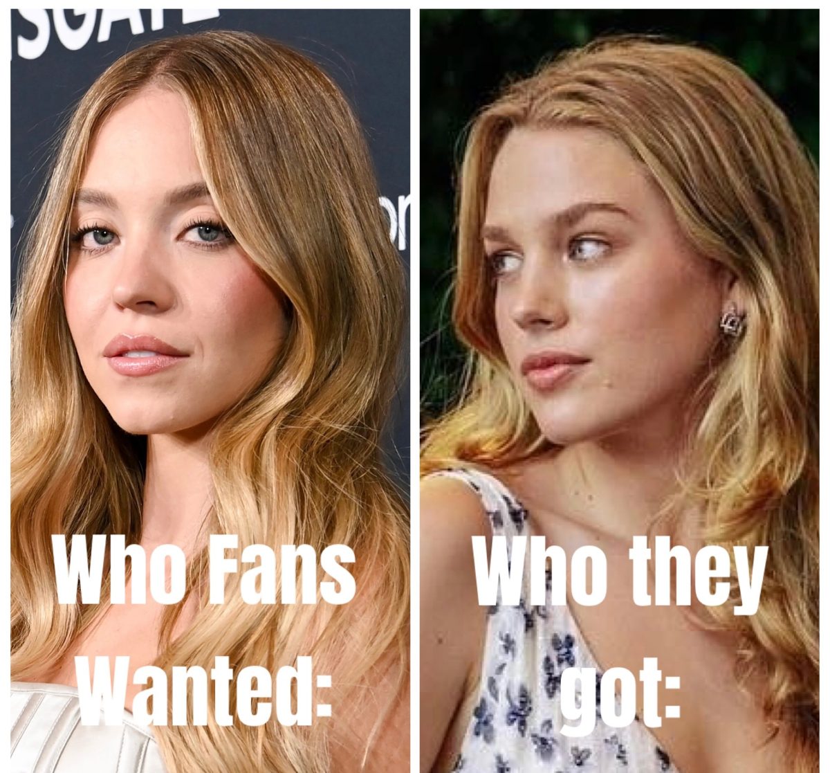 Sydney Sweeny (fan cast) vs. Teagan Croft (actual Rapunzel casting).