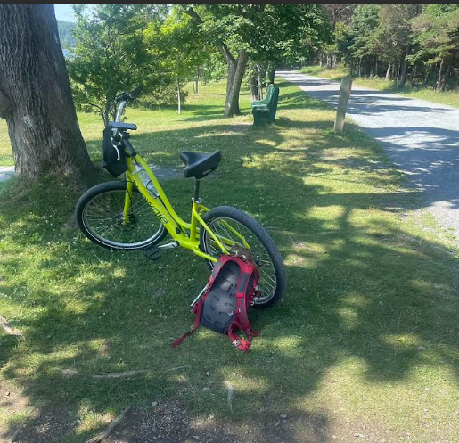 An dangerous E-Bike sits beneath a tree
